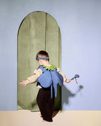 Blueberry Fairy DRESS-UP