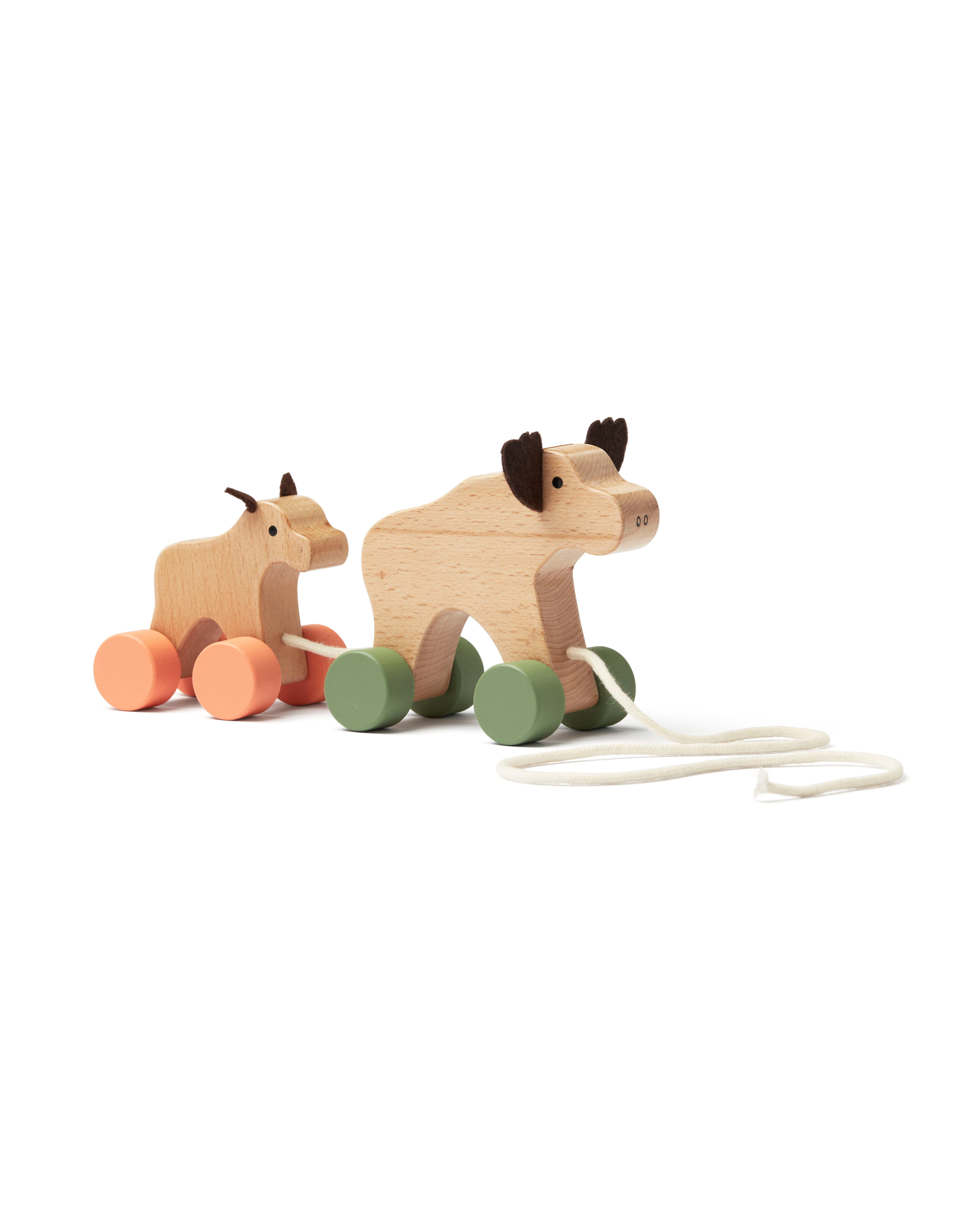 Pull along moose family