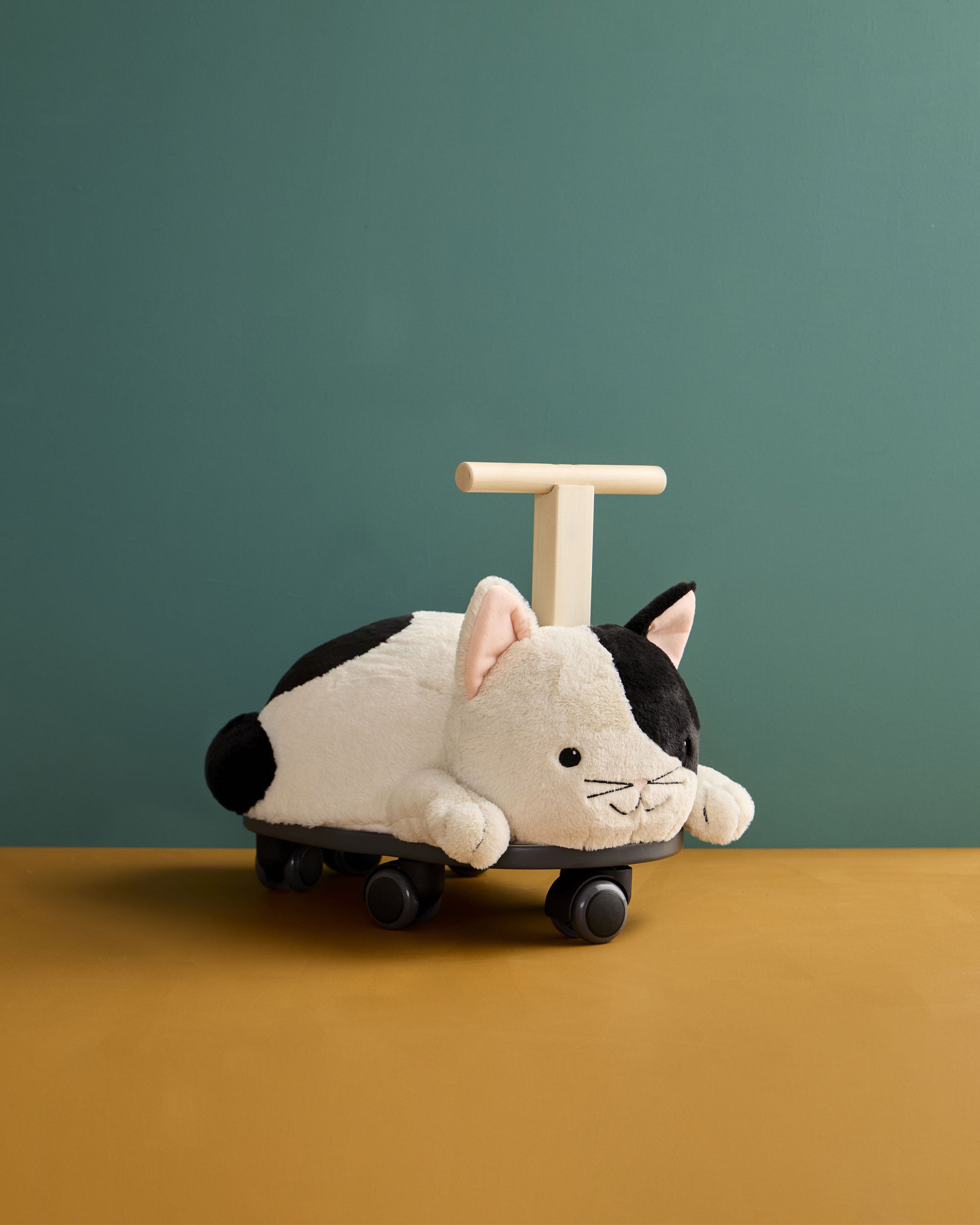 Ride along Sture the cat