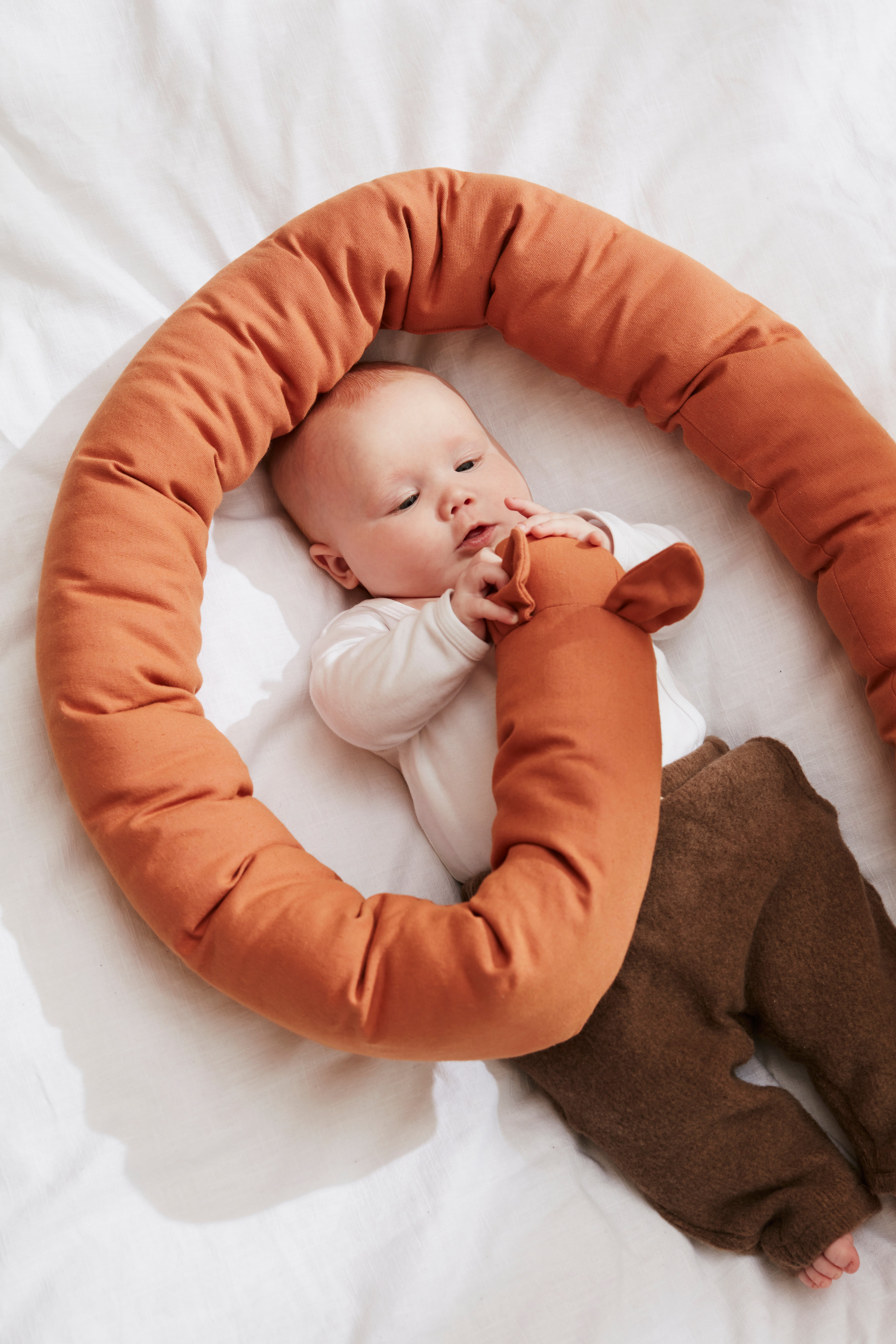 Bed Snake Ed
