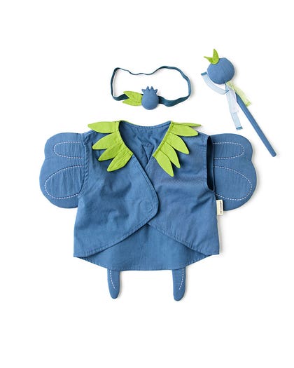 Blueberry Fairy DRESS-UP