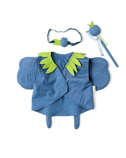 Blueberry Fairy DRESS-UP
