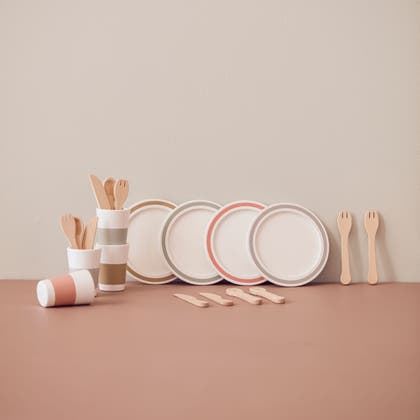 Dinnerware 4 play set