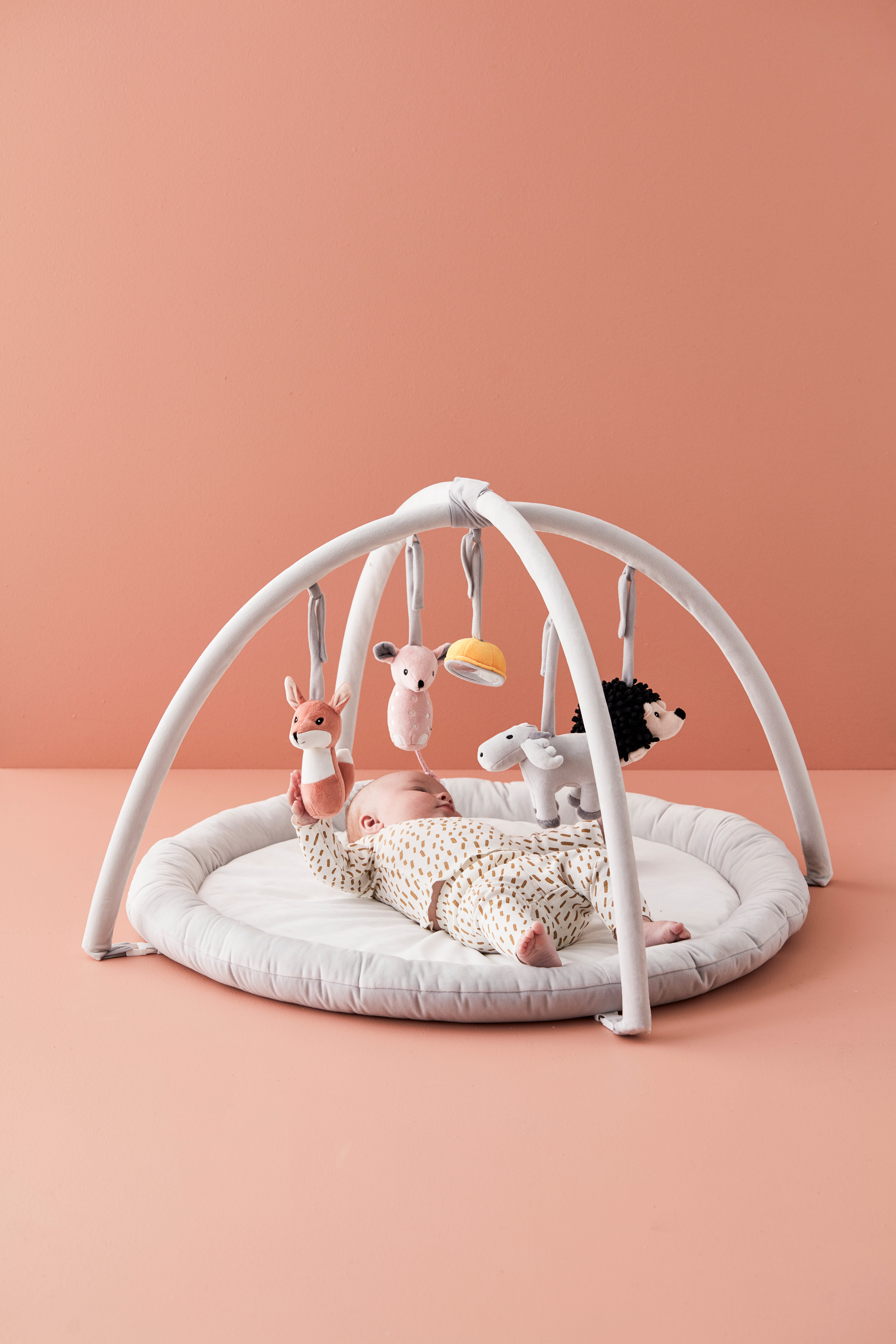 Baby gym