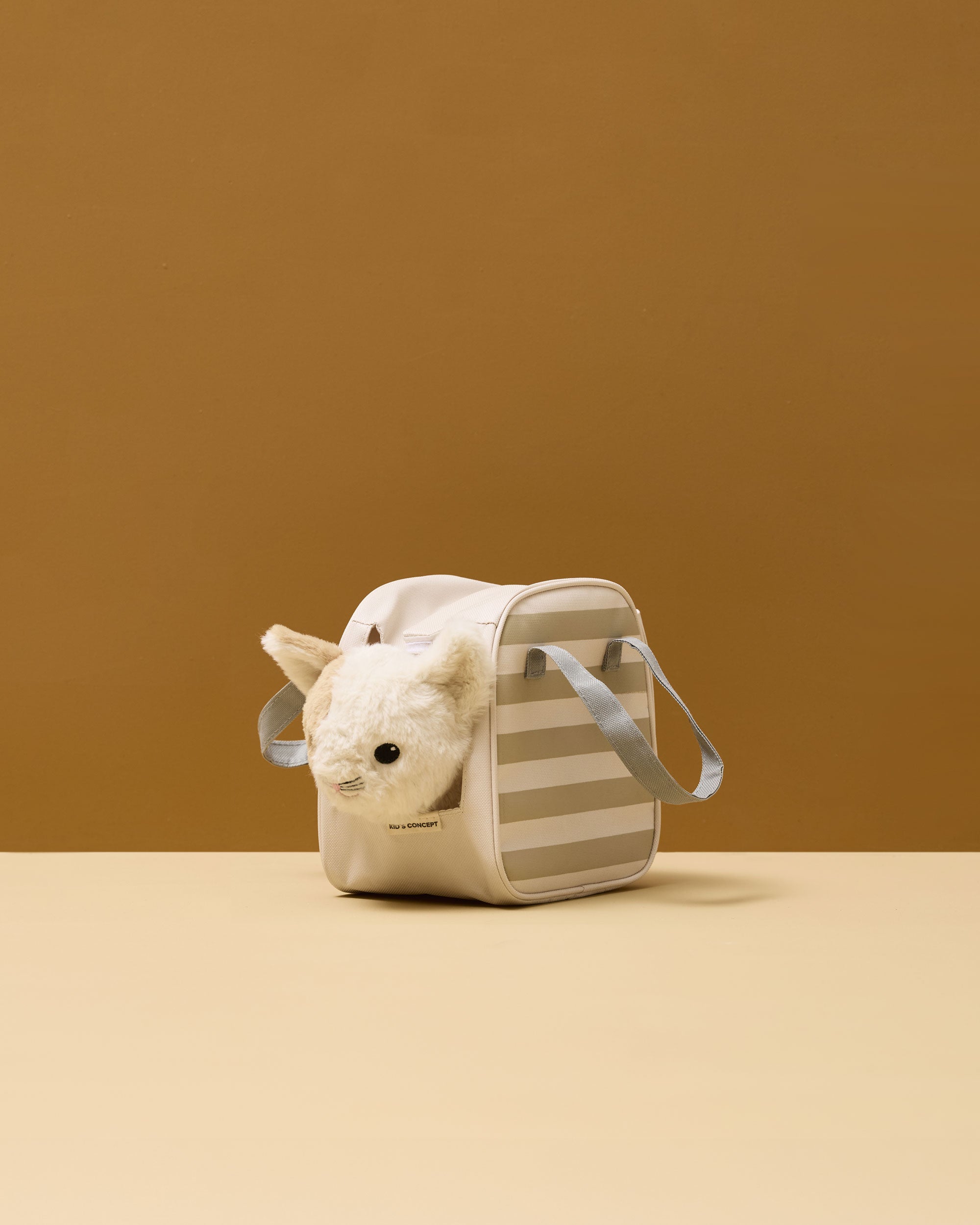 Cat and carrier bag