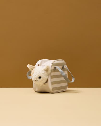 Cat and carrier bag