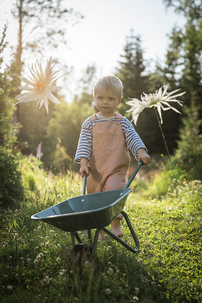 Wheelbarrow