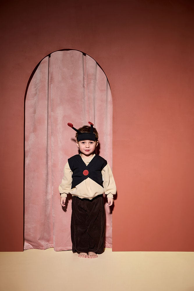 Ladybug  DRESS-UP