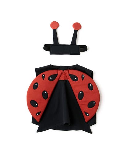 Ladybug DRESS-UP